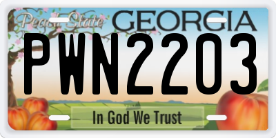 GA license plate PWN2203