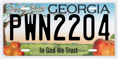GA license plate PWN2204