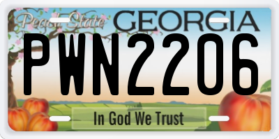 GA license plate PWN2206
