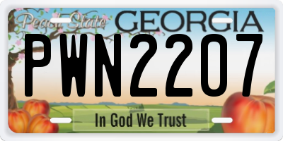 GA license plate PWN2207