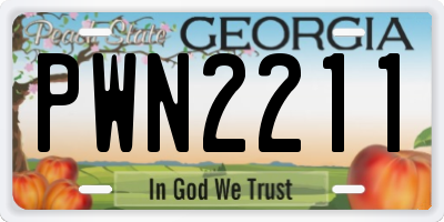 GA license plate PWN2211