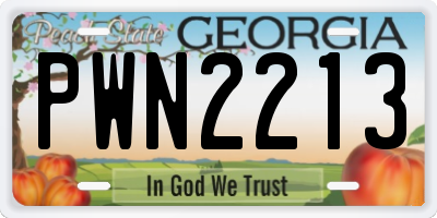 GA license plate PWN2213