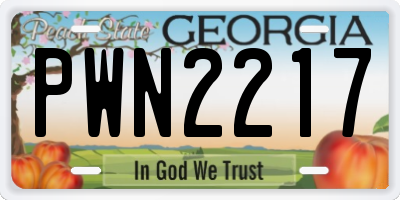GA license plate PWN2217
