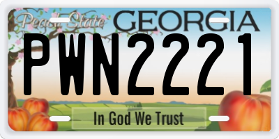 GA license plate PWN2221