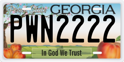 GA license plate PWN2222