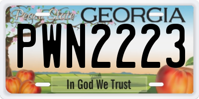 GA license plate PWN2223