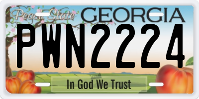 GA license plate PWN2224
