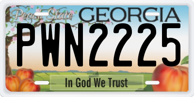 GA license plate PWN2225