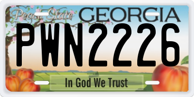 GA license plate PWN2226
