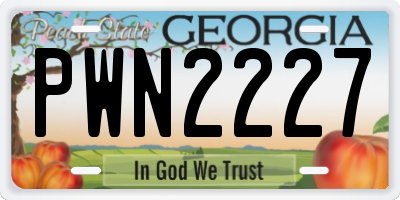 GA license plate PWN2227