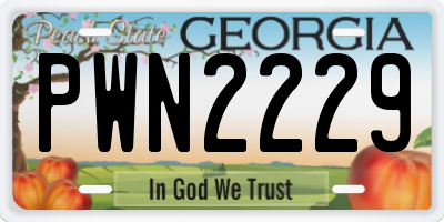 GA license plate PWN2229