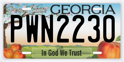 GA license plate PWN2230