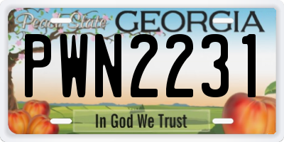 GA license plate PWN2231