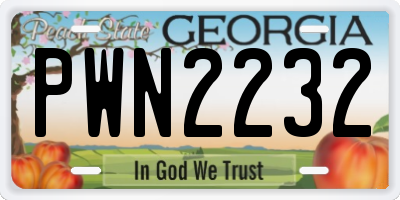 GA license plate PWN2232