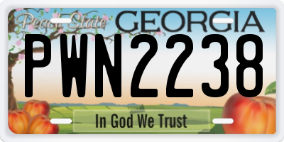 GA license plate PWN2238