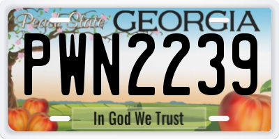 GA license plate PWN2239