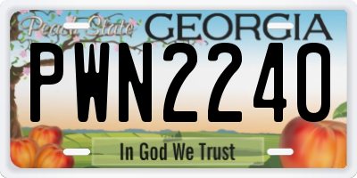 GA license plate PWN2240