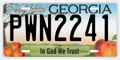 GA license plate PWN2241