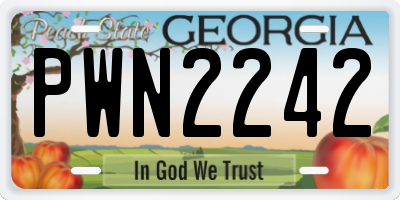 GA license plate PWN2242