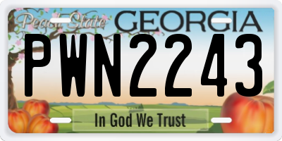GA license plate PWN2243