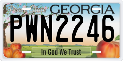 GA license plate PWN2246