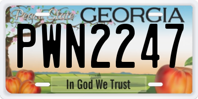 GA license plate PWN2247