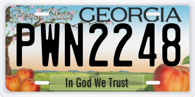 GA license plate PWN2248