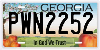 GA license plate PWN2252