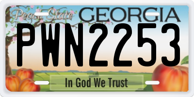 GA license plate PWN2253