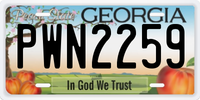 GA license plate PWN2259