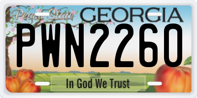 GA license plate PWN2260