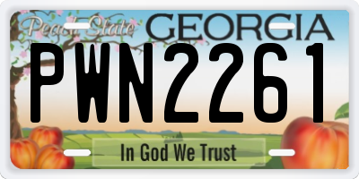 GA license plate PWN2261
