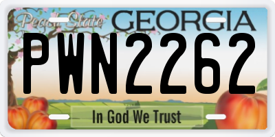GA license plate PWN2262