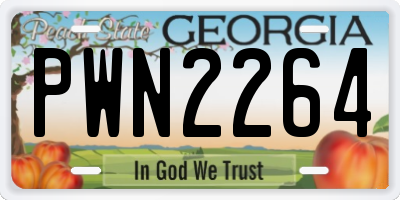 GA license plate PWN2264