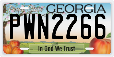 GA license plate PWN2266