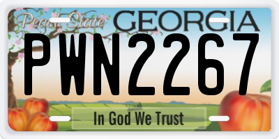 GA license plate PWN2267