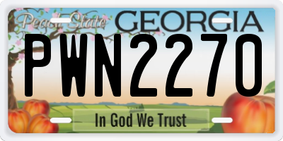 GA license plate PWN2270