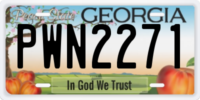 GA license plate PWN2271