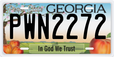 GA license plate PWN2272