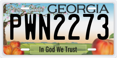 GA license plate PWN2273