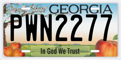 GA license plate PWN2277