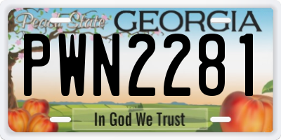 GA license plate PWN2281