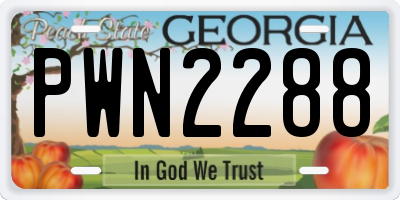 GA license plate PWN2288