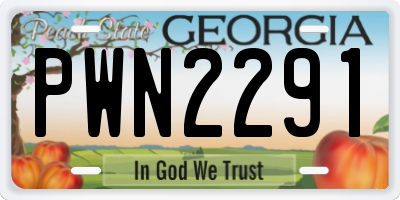 GA license plate PWN2291