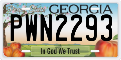 GA license plate PWN2293