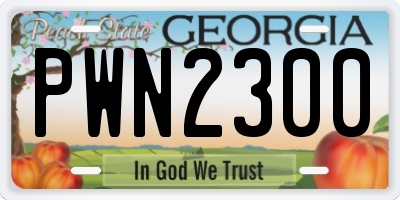 GA license plate PWN2300