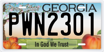 GA license plate PWN2301