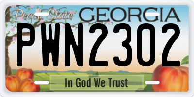 GA license plate PWN2302
