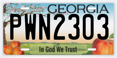 GA license plate PWN2303