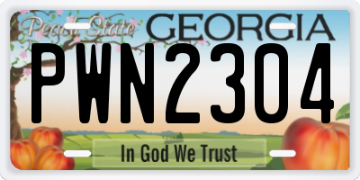GA license plate PWN2304